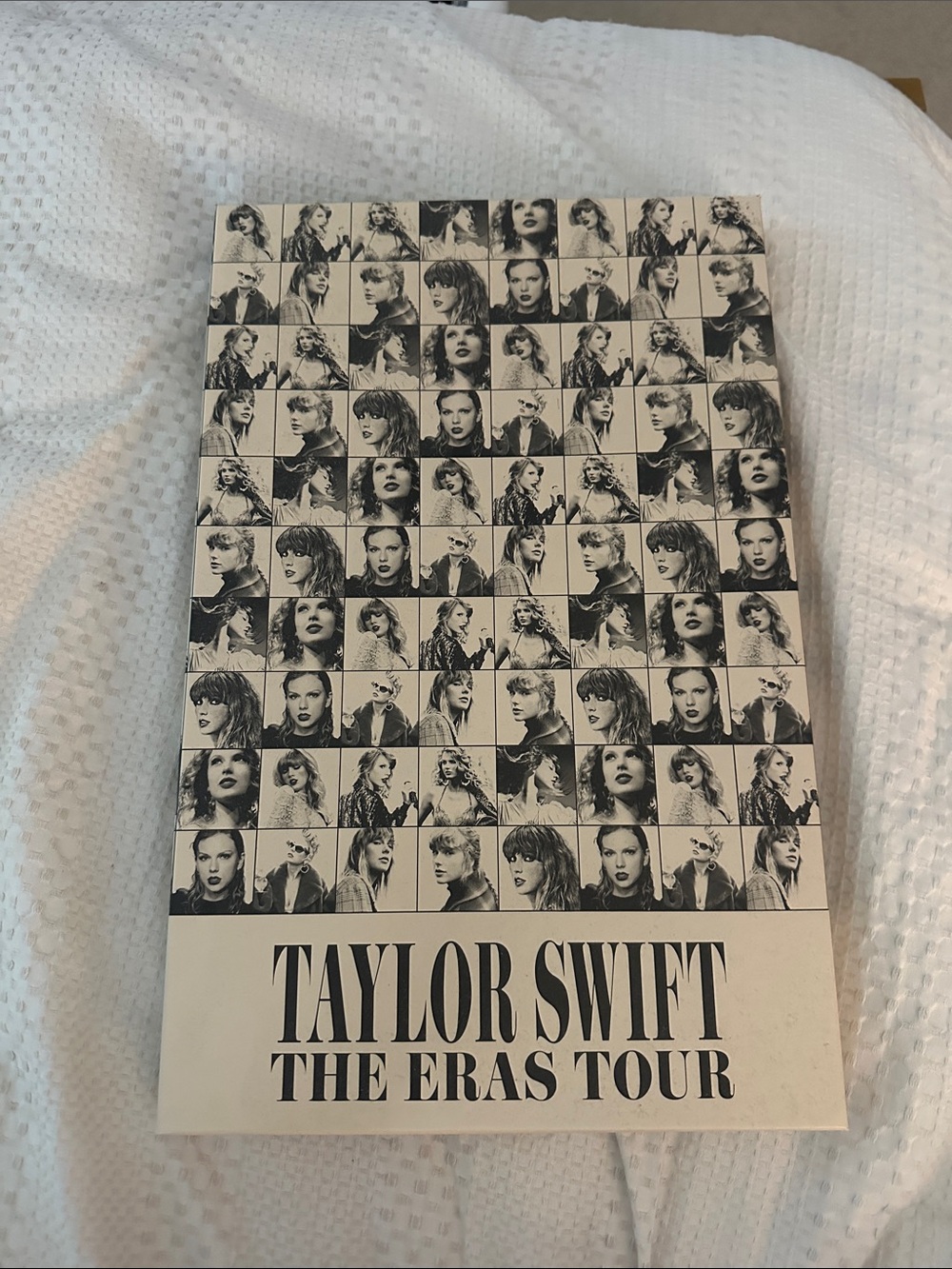 Taylor Swift Eras Tour VIP Box